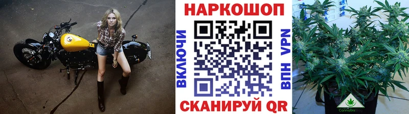 Наркота Володарск Кокаин Меф мяу мяу ГАШ Амфетамин mega рабочий сайт Alpha PVP Каннабис