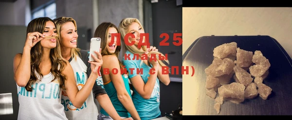 стафф Ельня