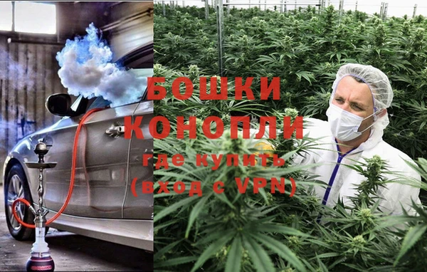 стафф Ельня
