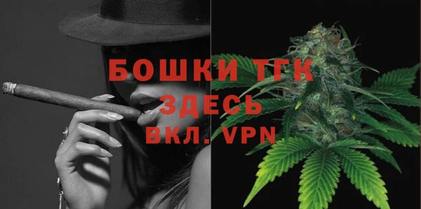 стафф Ельня