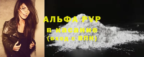стафф Ельня