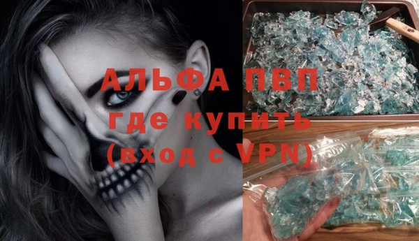 стафф Ельня