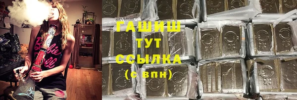 стафф Ельня