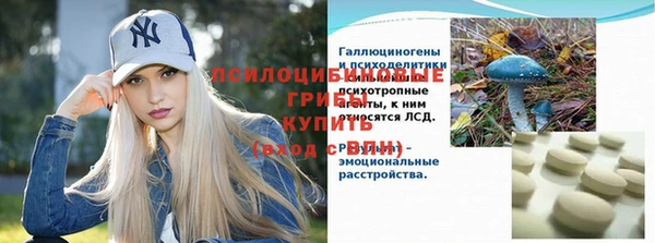 стафф Ельня