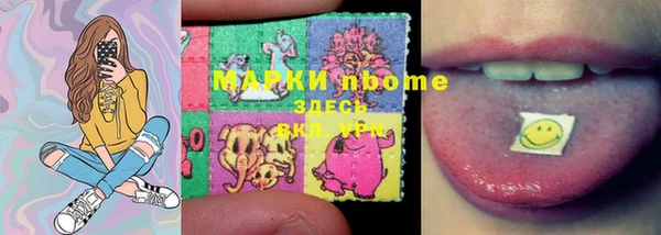 стафф Ельня