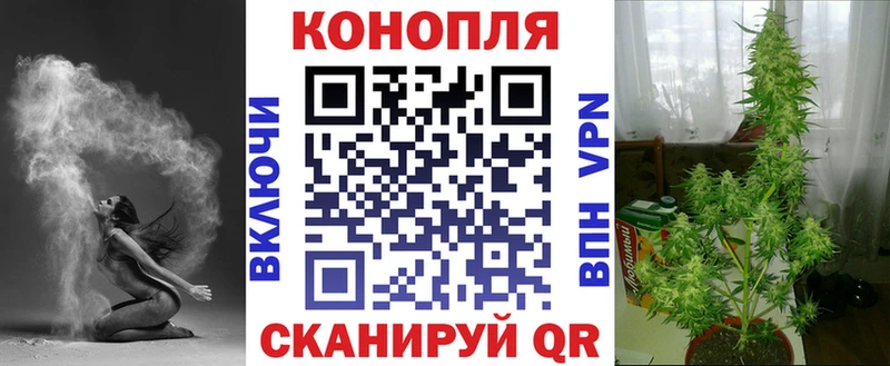 Марихуана OG Kush Володарск